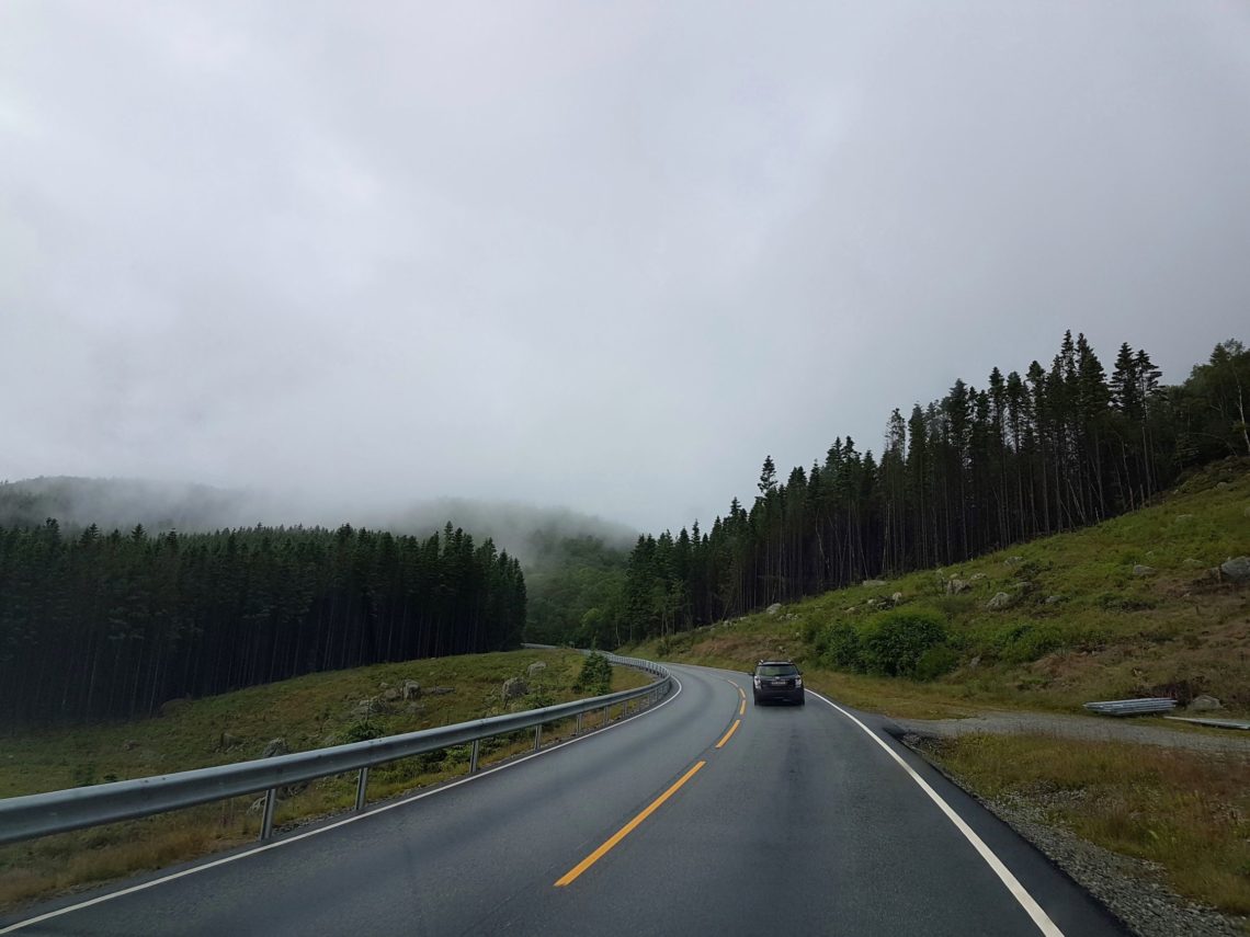 Straße Norwegen in Wald bei mystischen Nebel